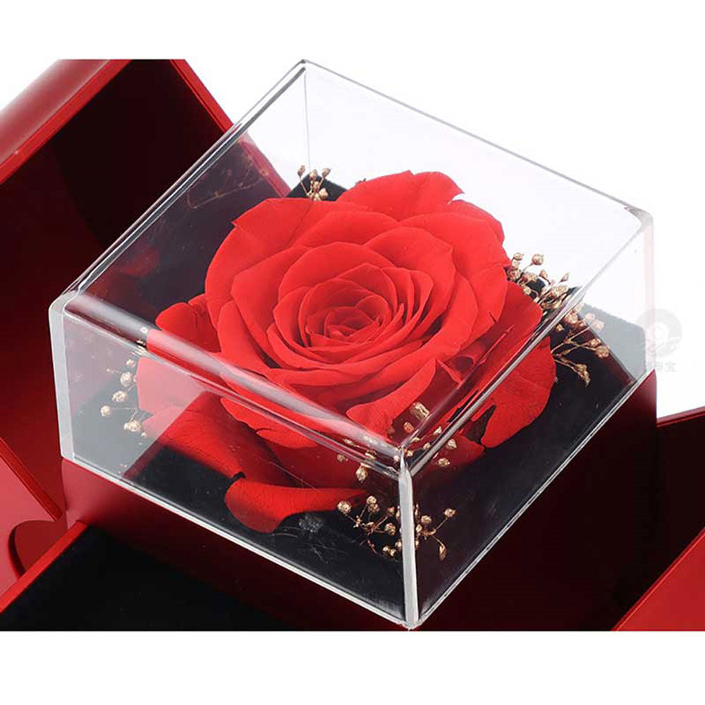 Eternal Rose Apple Box & Heart Necklace Gift Set